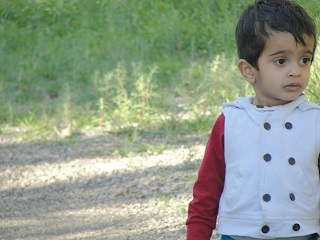 safaee